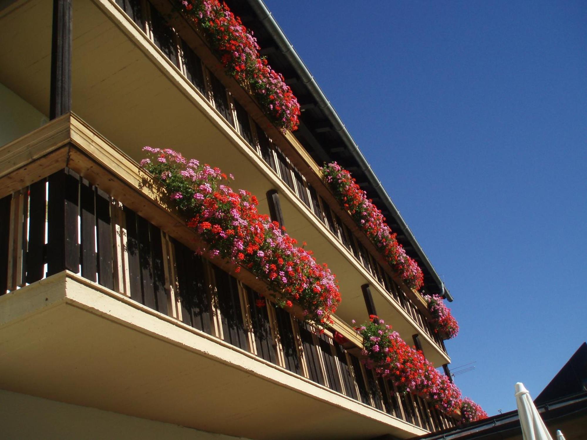 Laerchenhof Hotel Sankt Jakob in Defereggen Kültér fotó